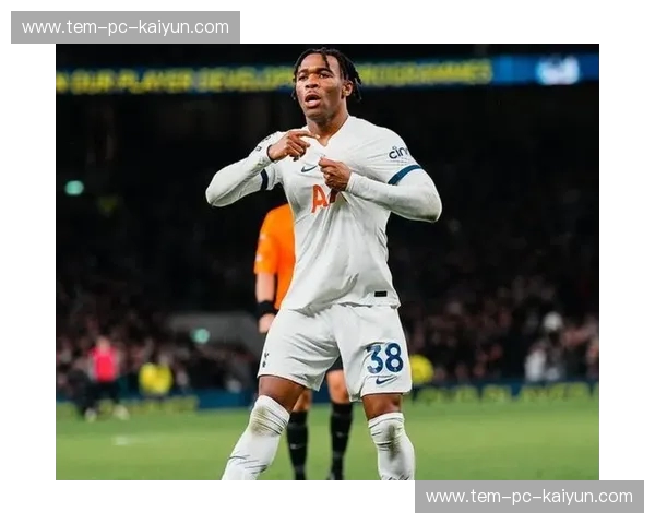 梦回英超巅峰：当热刺的“白百合”邂逅斯旺西的“天鹅海”